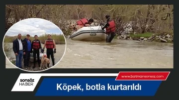 K&ouml;pek, botla kurtarıldı