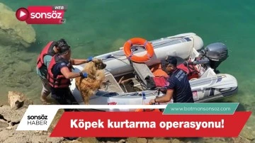 K&ouml;pek kurtarma operasyonu!