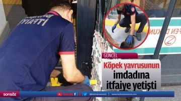 K&ouml;pek yavrusunun imdadına itfaiye yetişti