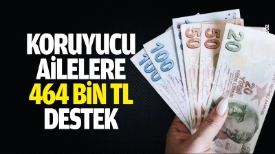 Koruyucu ailelere 464 bin TL destek
