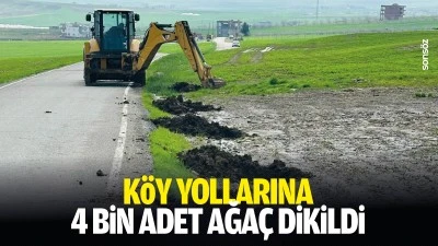 K&ouml;y yollarına 4 bin adet ağa&ccedil; dikildi