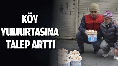 K&ouml;y yumurtasına talep arttı