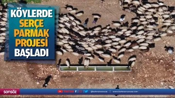 K&ouml;ylerde ser&ccedil;e parmak projesi başladı