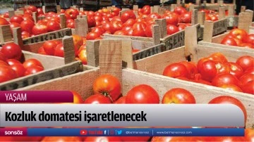 Kozluk domatesi işaretlenecek