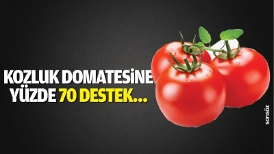 Kozluk Domatesine y&uuml;zde 70 destek&hellip;