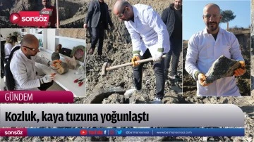 Kozluk, kaya tuzuna yoğunlaştı