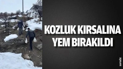 Kozluk kırsalına yem bırakıldı