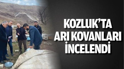 Kozluk&rsquo;ta arı kovanları incelendi