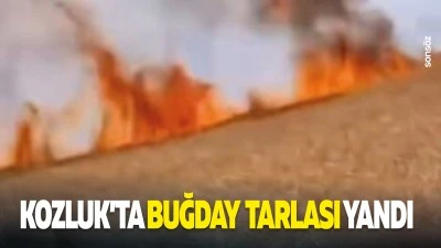 Kozluk&rsquo;ta buğday tarlası yandı