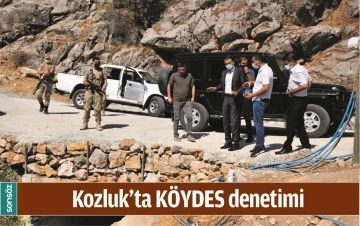 KOZLUK&rsquo;TA K&Ouml;YDES DENETİMİ