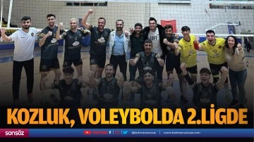 Kozluk, voleybolda 2.ligde
