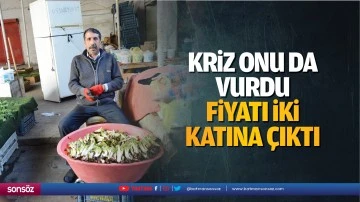 Kriz onu da vurdu, fiyatı iki katına &ccedil;ıktı