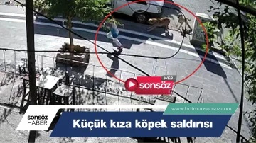 K&uuml;&ccedil;&uuml;k kıza k&ouml;pek saldırısı 
