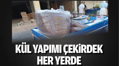 K&uuml;l yapımı &ccedil;ekirdek her yerde 