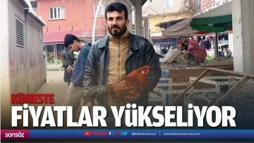 K&uuml;meste fiyatlar y&uuml;kseliyor