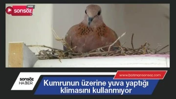 Kumrunun &uuml;zerine yuva yaptığı klimasını kullanmıyor