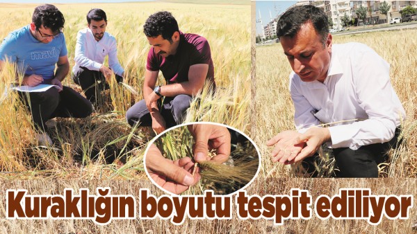 KURAKLIĞIN BOYUTU TESPİT EDİLİYOR