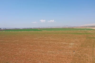 Kuraklık hububat verimini tehdit ediyor