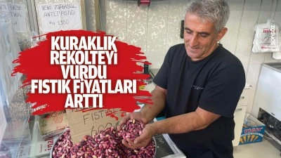 Kuraklık rekolteyi vurdu, fıstık fiyatları arttı