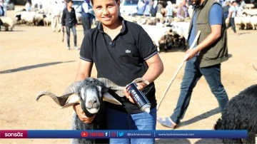 Kurban pazarlarında hareketlilik başladı