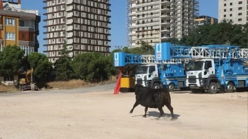 Kurban yakalama timi g&ouml;rev başında