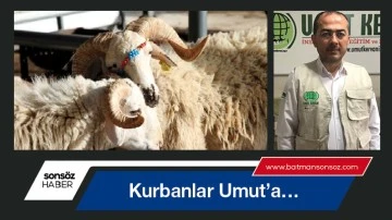 Kurbanlar Umut&rsquo;a&hellip;