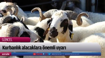 Kurbanlık alacaklara &ouml;nemli uyarı