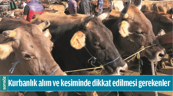 Kurbanlık alım ve kesiminde dikkat edilmesi gerekenler
