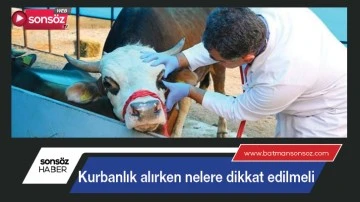 Kurbanlık alırken nelere dikkat edilmeli