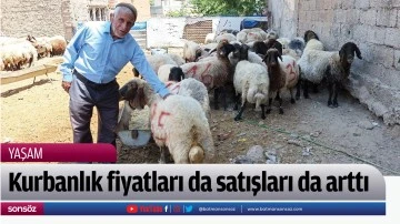 Kurbanlık fiyatları da satışları da arttı