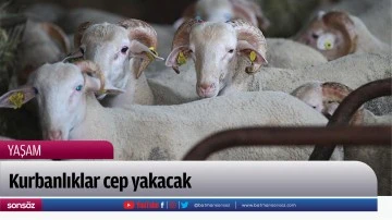 Kurbanlıklar cep yakacak