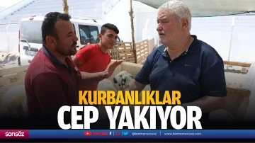 Kurbanlıklar cep yakıyor