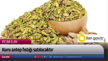 Kuru antep fıstığı satılacaktır