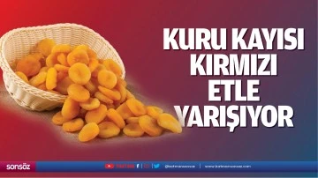 Kuru kayısı, kırmızı etle yarışıyor