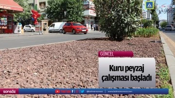 Kuru peyzaj &ccedil;alışması başladı