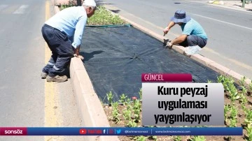 Kuru peyzaj uygulaması yaygınlaşıyor