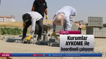Kurumlar, AYKOME ile koordineli &ccedil;alışıyor