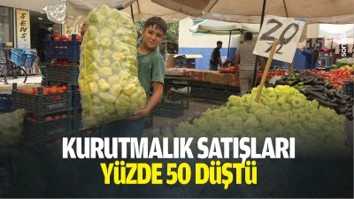 Kurutmalık satışları y&uuml;zde 50 d&uuml;şt&uuml;