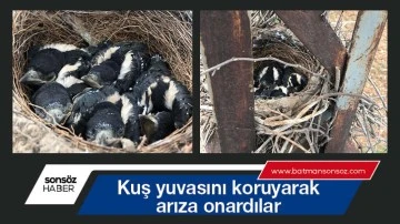 Kuş yuvasını koruyarak arıza onardılar