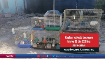 Kuşları kafeste besleyen kişiye 23 bin 322 lira para cezası