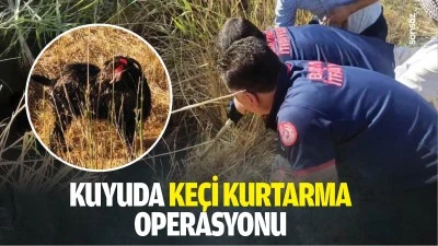 Kuyuda ke&ccedil;i kurtarma operasyonu