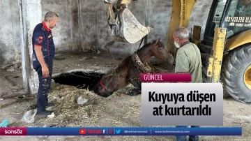 Kuyuya d&uuml;şen at kurtarıldı