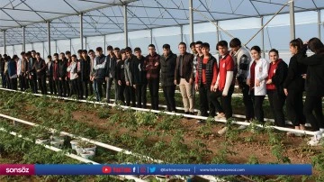 Lale soğanları Silopi'deki okulda dikildi