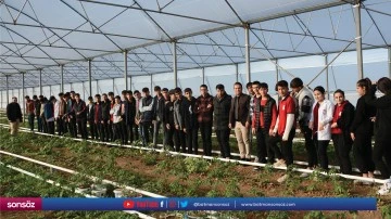 Lale soğanları Şırnak'taki okulda dikildi