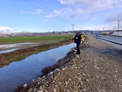 Larvalara y&ouml;nelik ila&ccedil;lama yapıldı