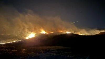 Lice ve Hani&rsquo;deki yangın s&ouml;nd&uuml;r&uuml;ld&uuml;