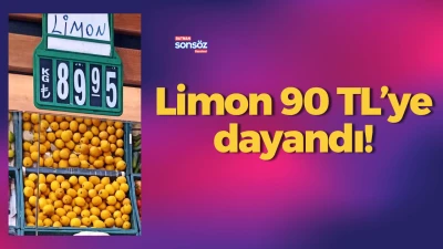 Limon 90 TL&rsquo;ye dayandı!