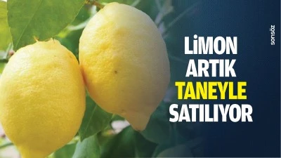 Limon artık taneyle satılıyor