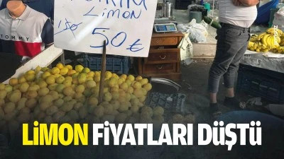 Limon fiyatları d&uuml;şt&uuml;