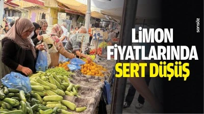 Limon fiyatlarında sert d&uuml;ş&uuml;ş
